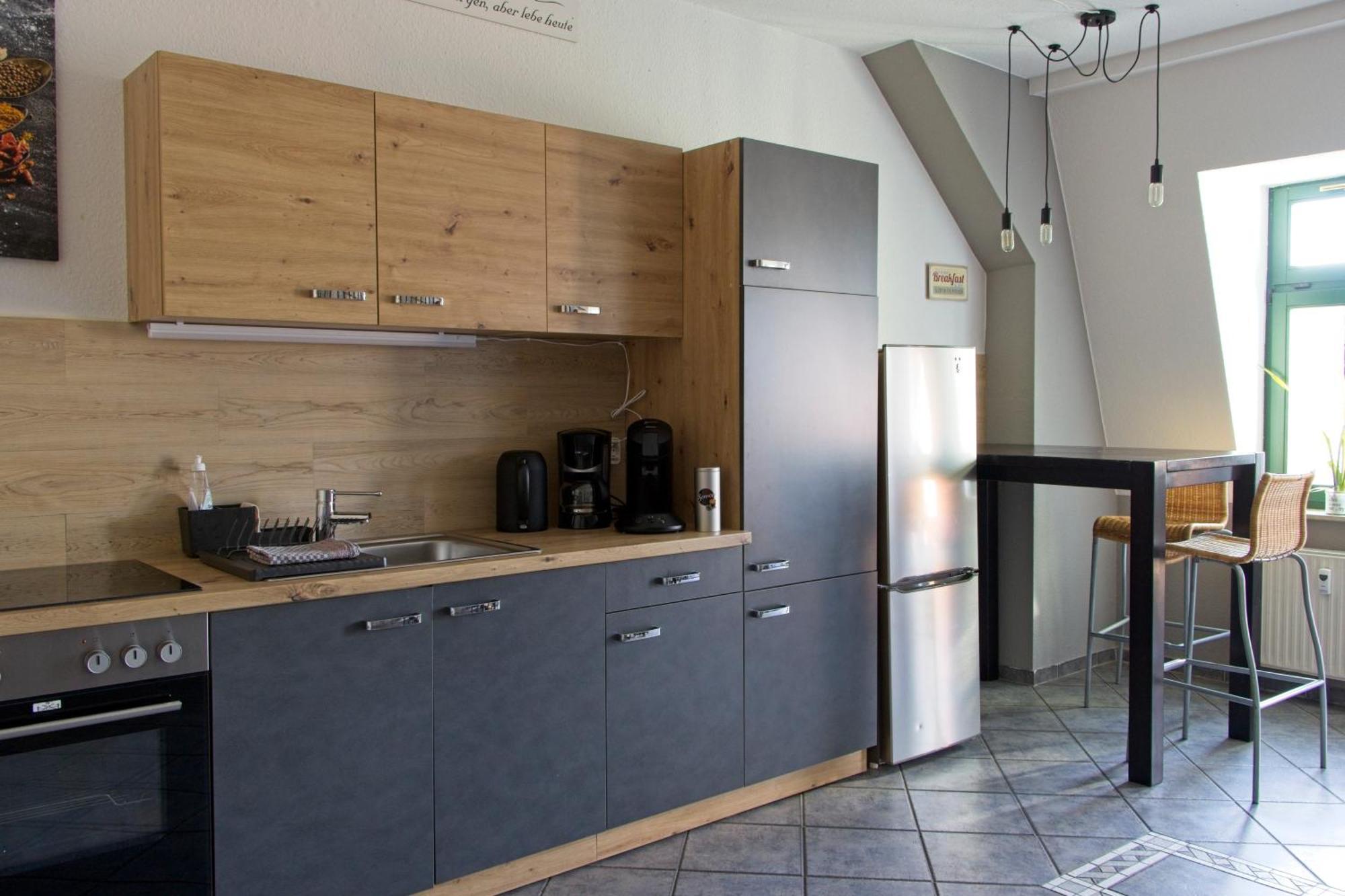 Neustadt-Aussicht - Grosse Wohnung Mit Balkon Dresden Eksteriør billede