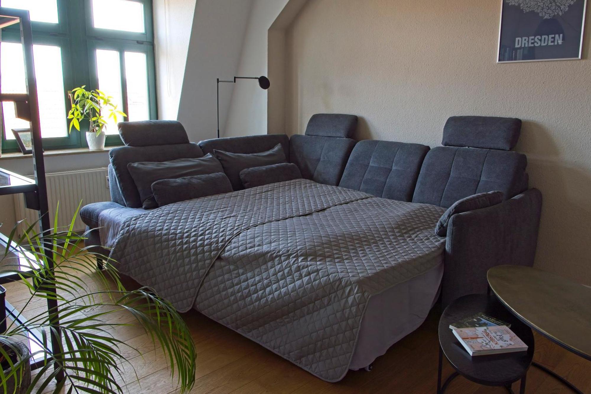 Neustadt-Aussicht - Grosse Wohnung Mit Balkon Dresden Eksteriør billede